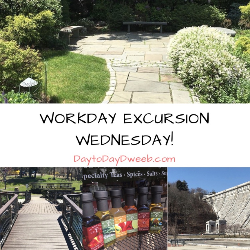 Workday Excursion Wednesday!